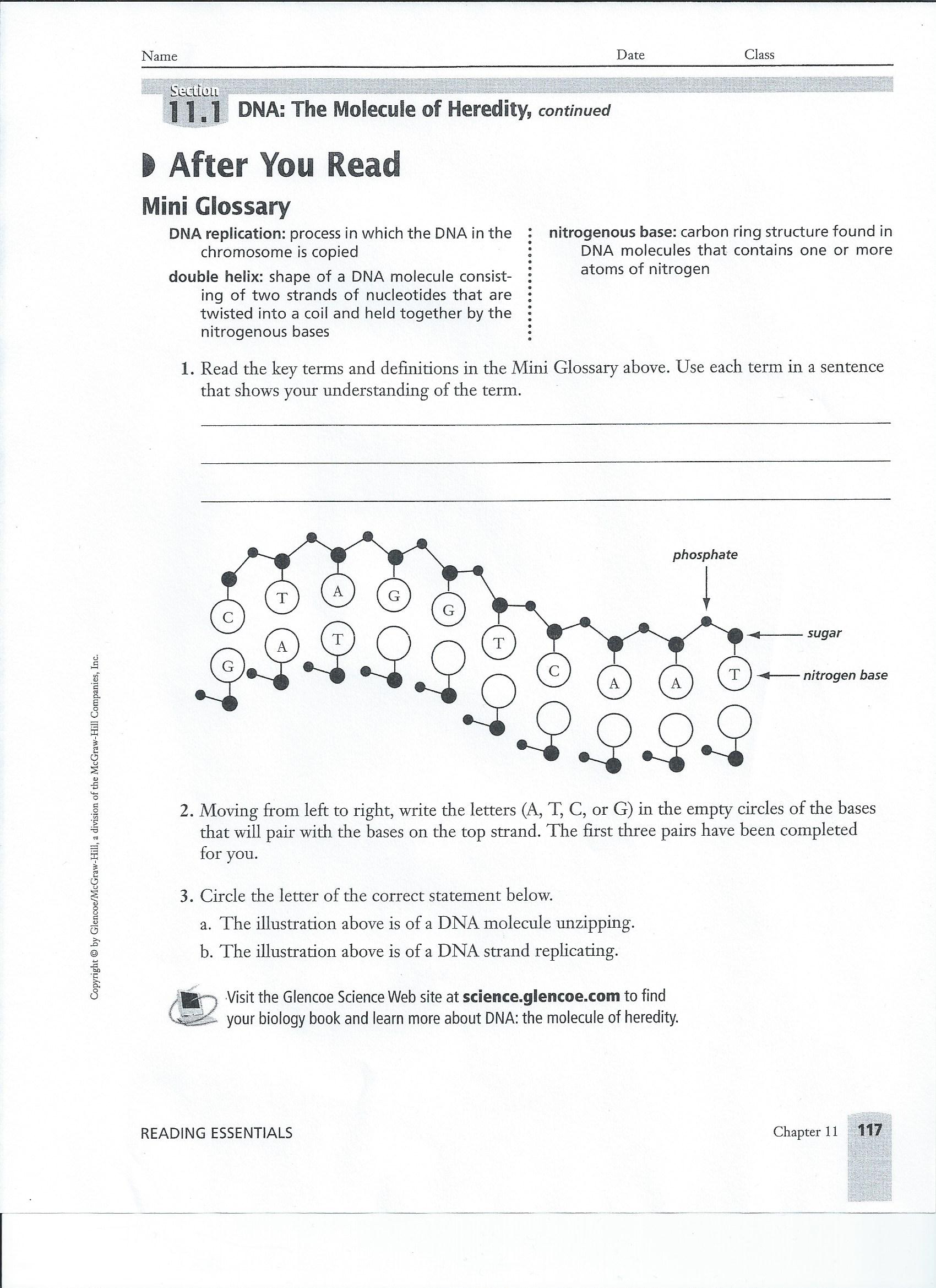 biology chapter 11.1 worksheet answers